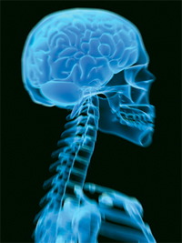 Georgia Southern University Researchers Awarded Nearly $400,000 by National Institutes of Health to Study Concussions