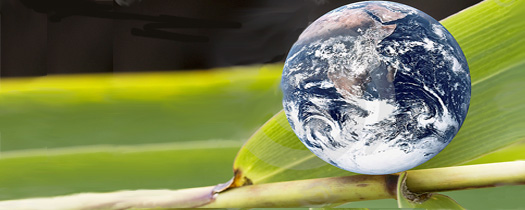 ‘Green’ Initiatives Make Every Day Earth Day at Georgia Southern University