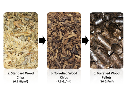 Herty Announces Launch of Consortium for Advanced Wood-to-Energy Solutions