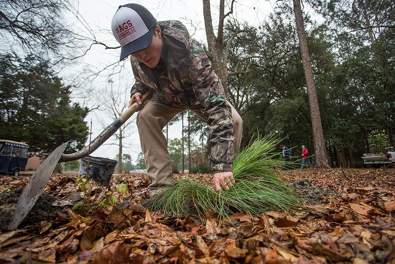Georgia Southern University Named “Green College” by The Princeton Review for Five Years