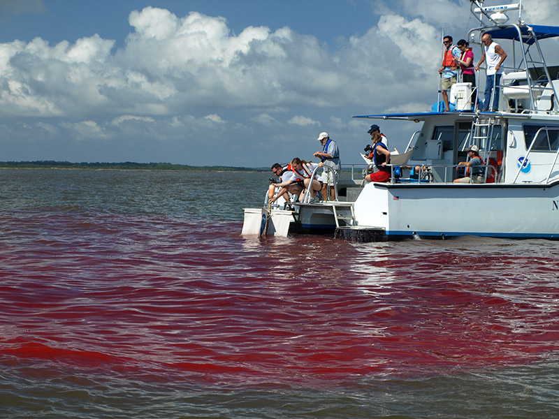 Researchers Track Currents with Drifters and Dye