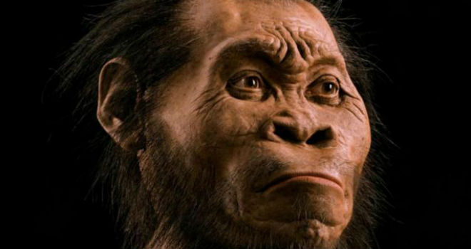 Georgia Southern Alumnus Finds New Human Relative