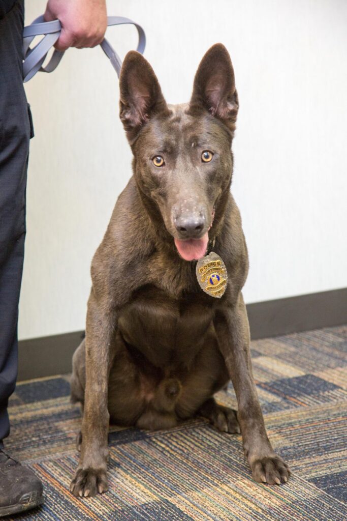 Public Safety welcomes two new officers, first K-9 officer