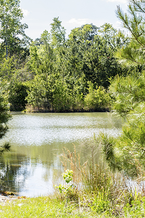 Georgia Southern University establishes first scientific field station on 1,400-acre gift from Southeastern Trust for Parks and Land