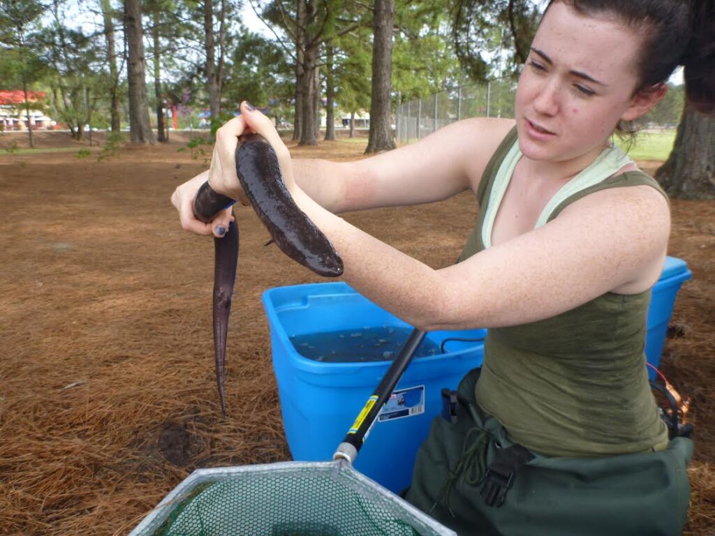 Georgia Southern University biologists quantify campus biodiversity