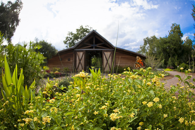 Fall events slated for the Botanic Garden at Georgia Southern