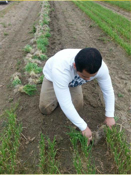 From farm work to homework: First generation graduate walks this fall