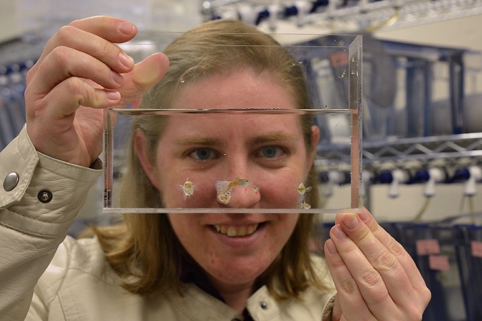 Biology faculty develops accessible, hands-on experiments to teach evolution