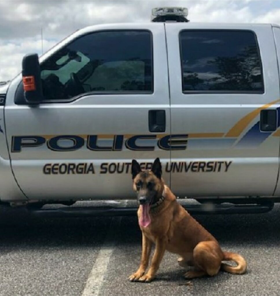 New K-9 Officer joins Georgia Southern University Office of Public Safety