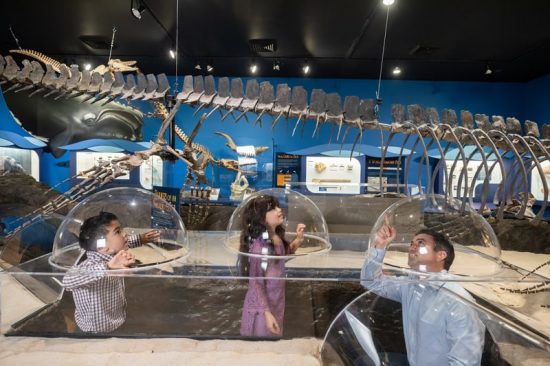 Georgia Southern University Museum reopens, celebrates Earth Sciences Week