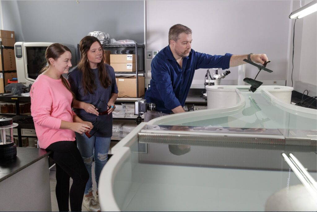 Georgia Southern receives $1.1M National Science Foundation grant to support development of regional mathematics, science teachers