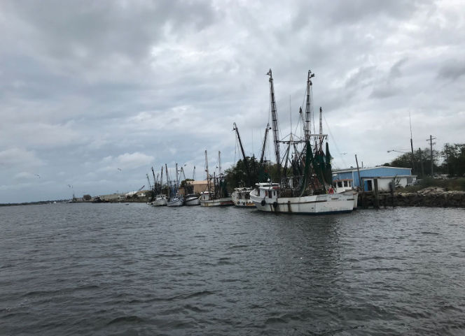 Georgia Department of Natural Resources awards grant for more than $254,000 to Georgia Southern University