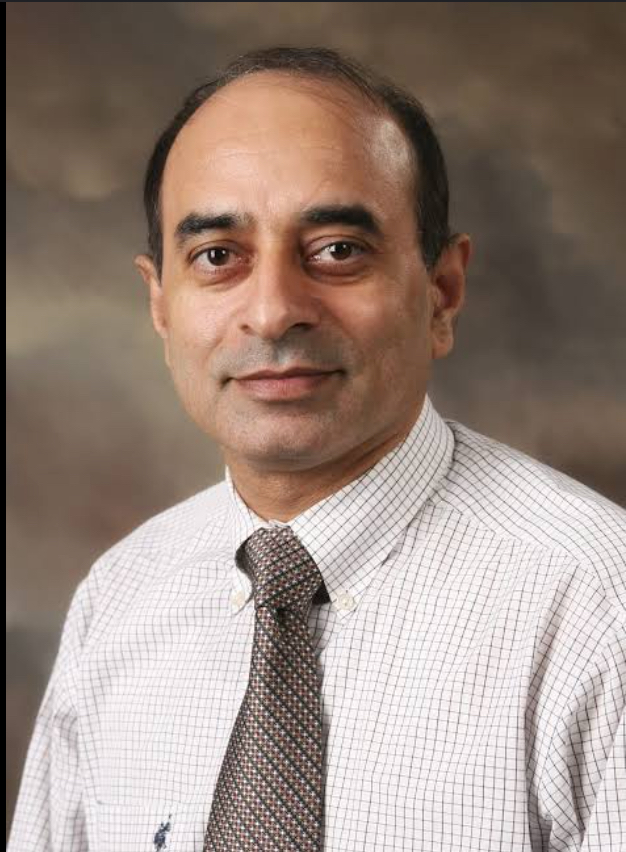 College of Public Health professor wins international research award 