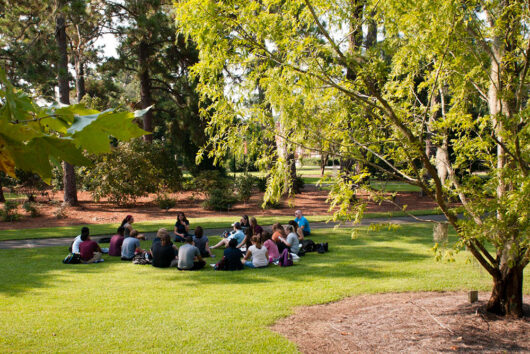 Georgia Southern students sitting in a circle for an outdoor class in a shaded, grassy area surrounded by trees.