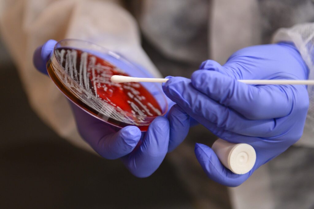 New bachelor’s in biomedical sciences at Georgia Southern approved, debuts Fall 2025