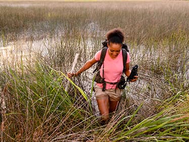 Georgia Southern research student walking through wetlands