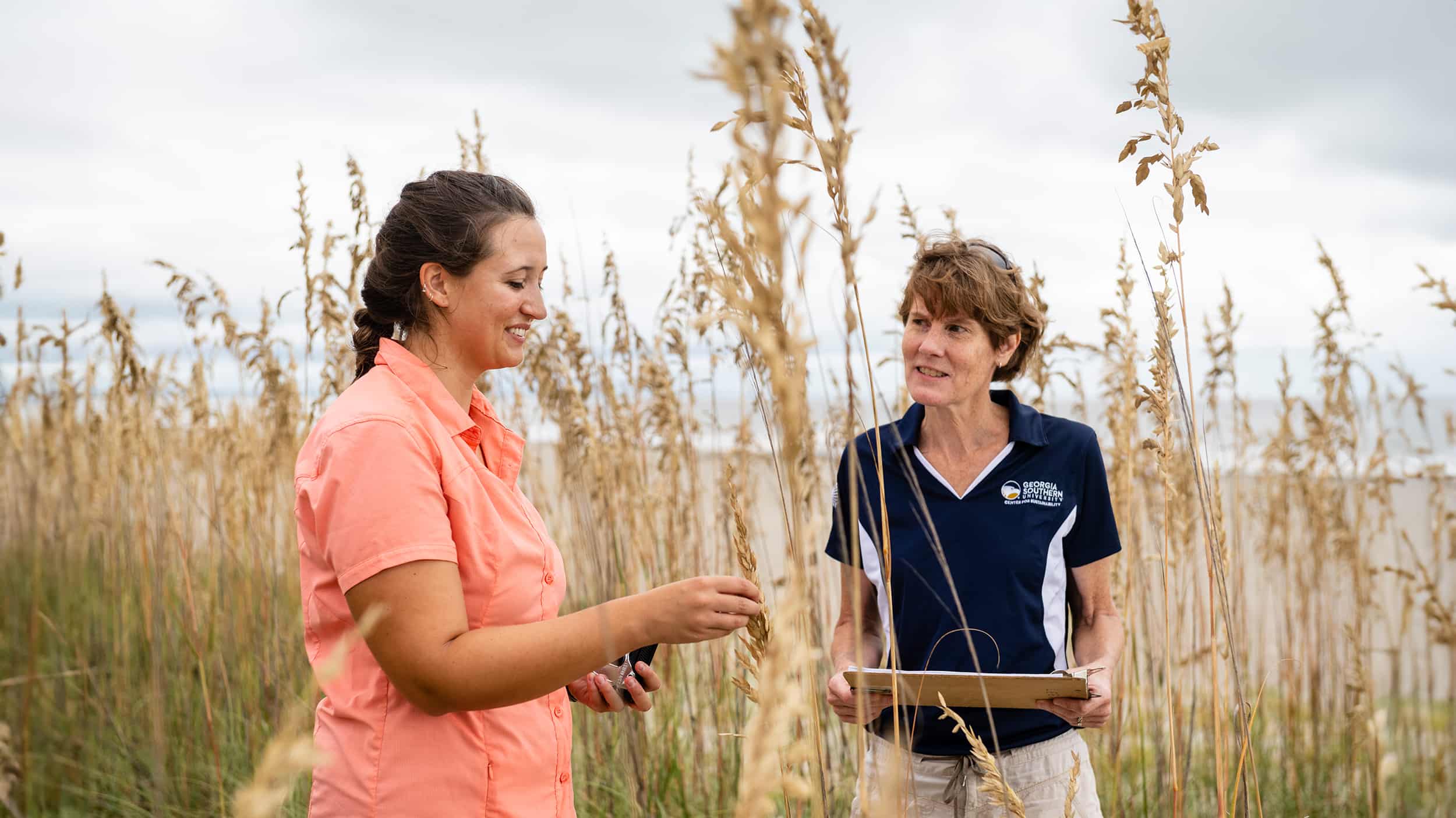 For research, a Georgia Southern student and faculty member collect data in a wetlands environment with tall grasses.
