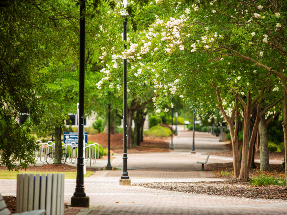 A quiet, tree-lined walkway with blooming white flowers, benches, and lamp posts. Bike racks are visible in the background.