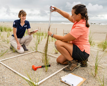 A student and faculty member conduct a research study at a beach near Georgia Southern University.