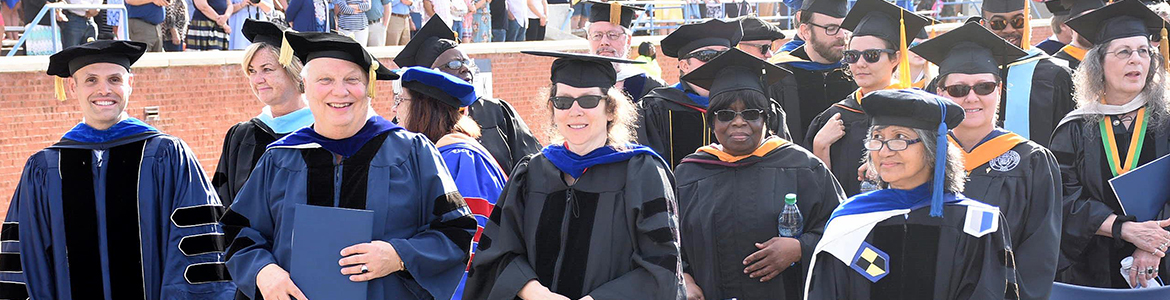 Faculty and staff attending a georgia southern graduation ceremony in robes and cap and gown.