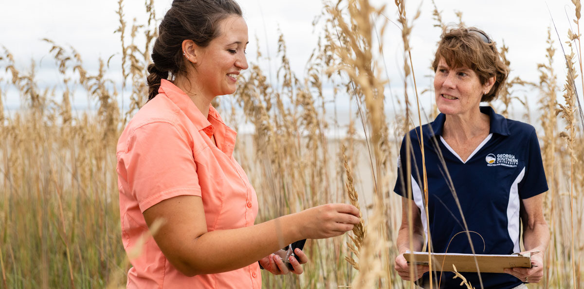 For research, a Georgia Southern student and faculty member collect data in a wetlands environment with tall grasses.