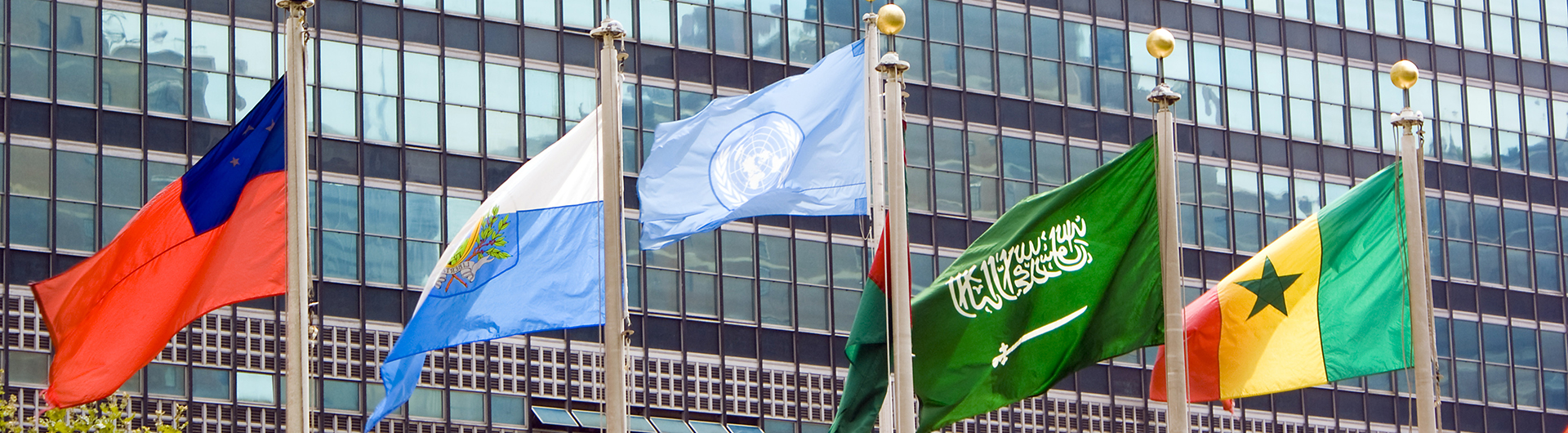 A group of diverse national flags wave in front of a building to represent the UN and international studies at Georgia Southern.