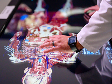 A person in a white lab coat uses their hand to interact with a digital anatomical touchscreen displaying a detailed human body scan.