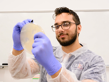 Georgia Southern's Doctor of Public Health Program