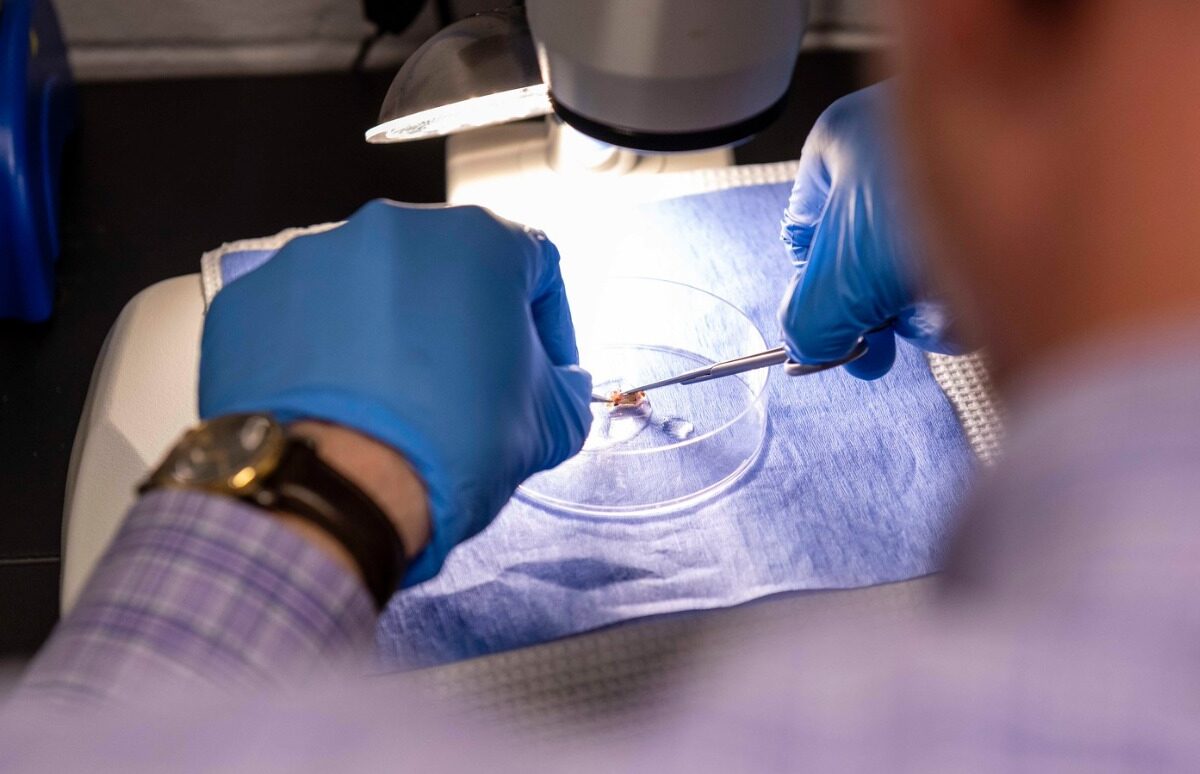A researcher works with a tissue sample while doing fish research.