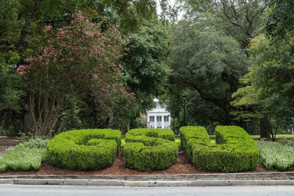 Leading medical journal publishes groundbreaking research by JPHCOPH faculty, students 