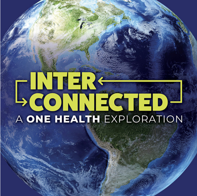 Georgia Southern’s Institute for Health Logistics & Analytics opens new exhibit, ‘Interconnected: A One Health Exploration,’ at Georgia Southern Museum