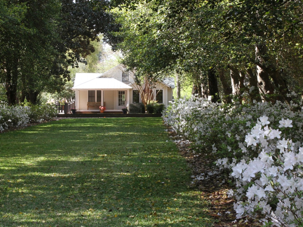 The Bland cottage has an expansive side lawn lined with magnolia trees, holly trees and azaleas.