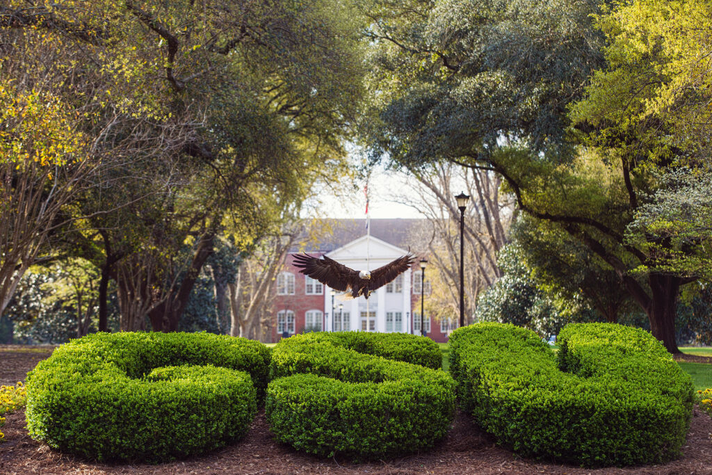 Georgia Southern’s treasured live bald eagle mascot, ‘Freedom,’ passes away