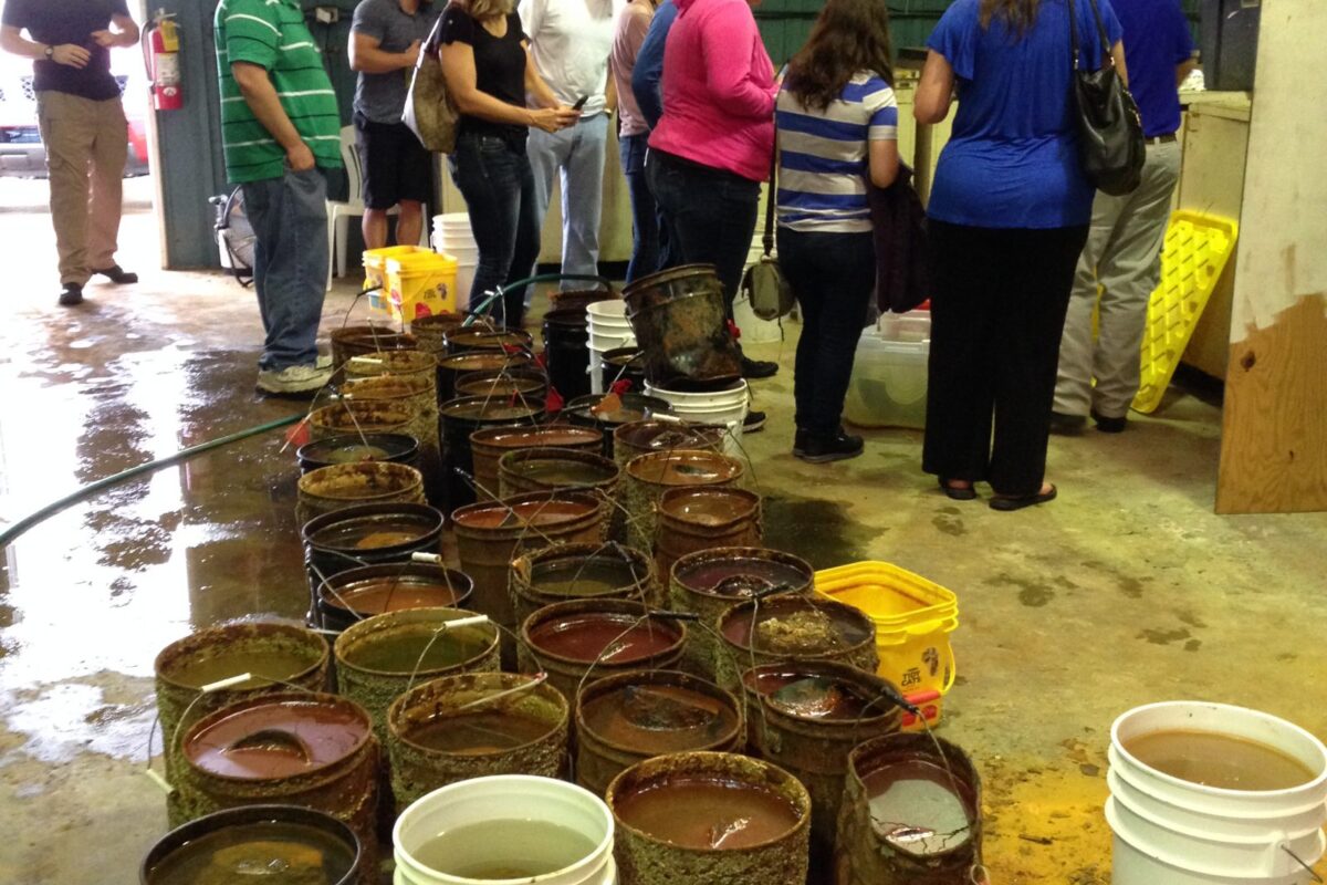 Students look at materials and artifacts. There are many five-gallon buckets in the foreground.