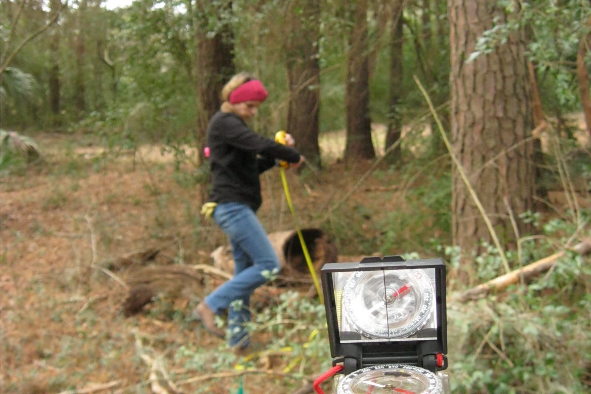 Two people take measurements with a tape measure and compass in a wooded area.
