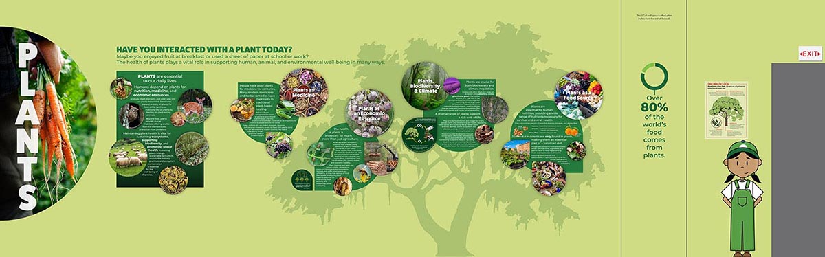 An image of one of the exhibit walls, this particular wall is dedicated to plants.