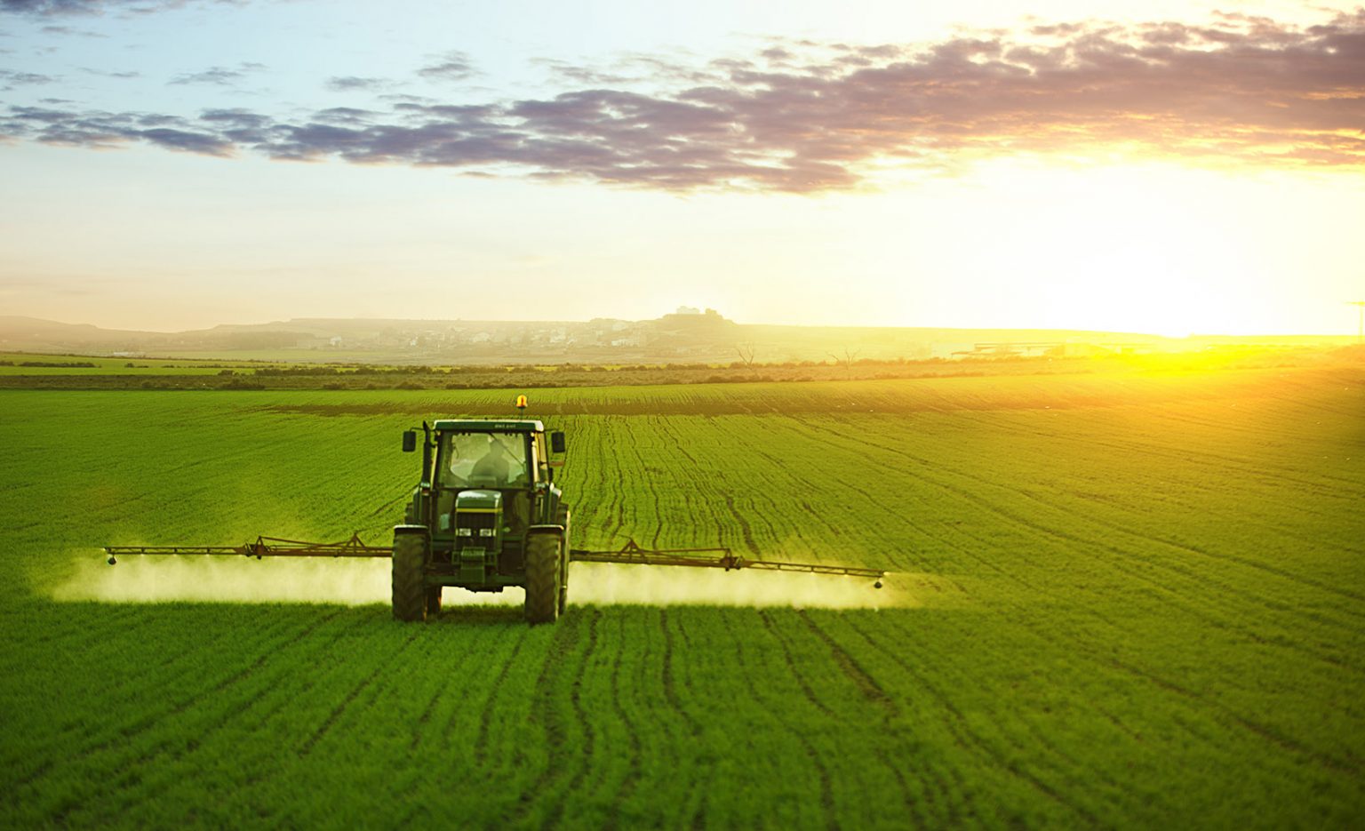 A tractor spraying a field of crops