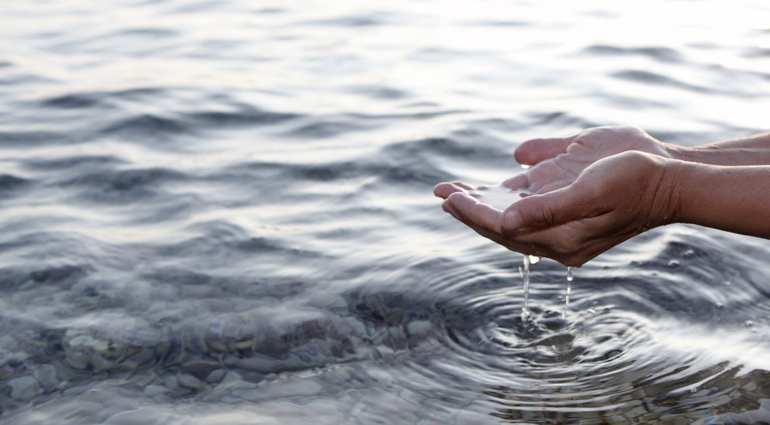 Hands cupping water from a clear lake.