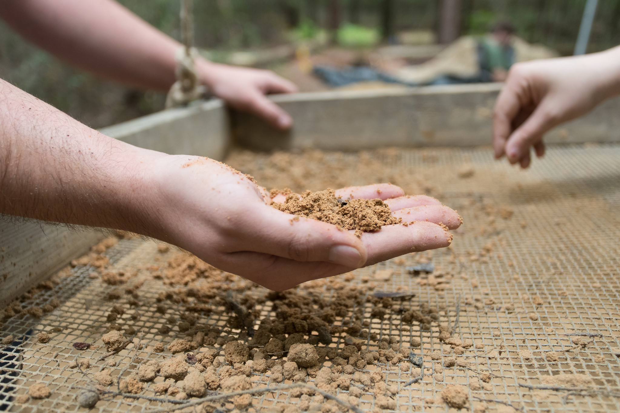 Archeology dig at Camp Lawton