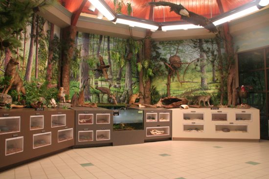 Down to Earth Exhibit