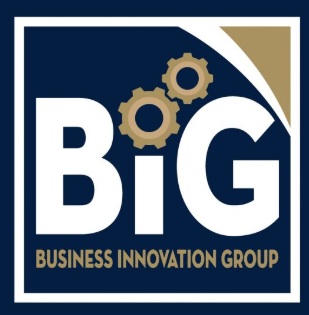 Business Innovation Group logo