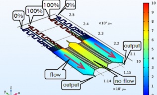 3D chart showing input and output