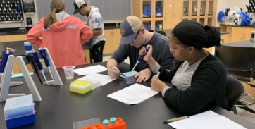 students work in a laboratory