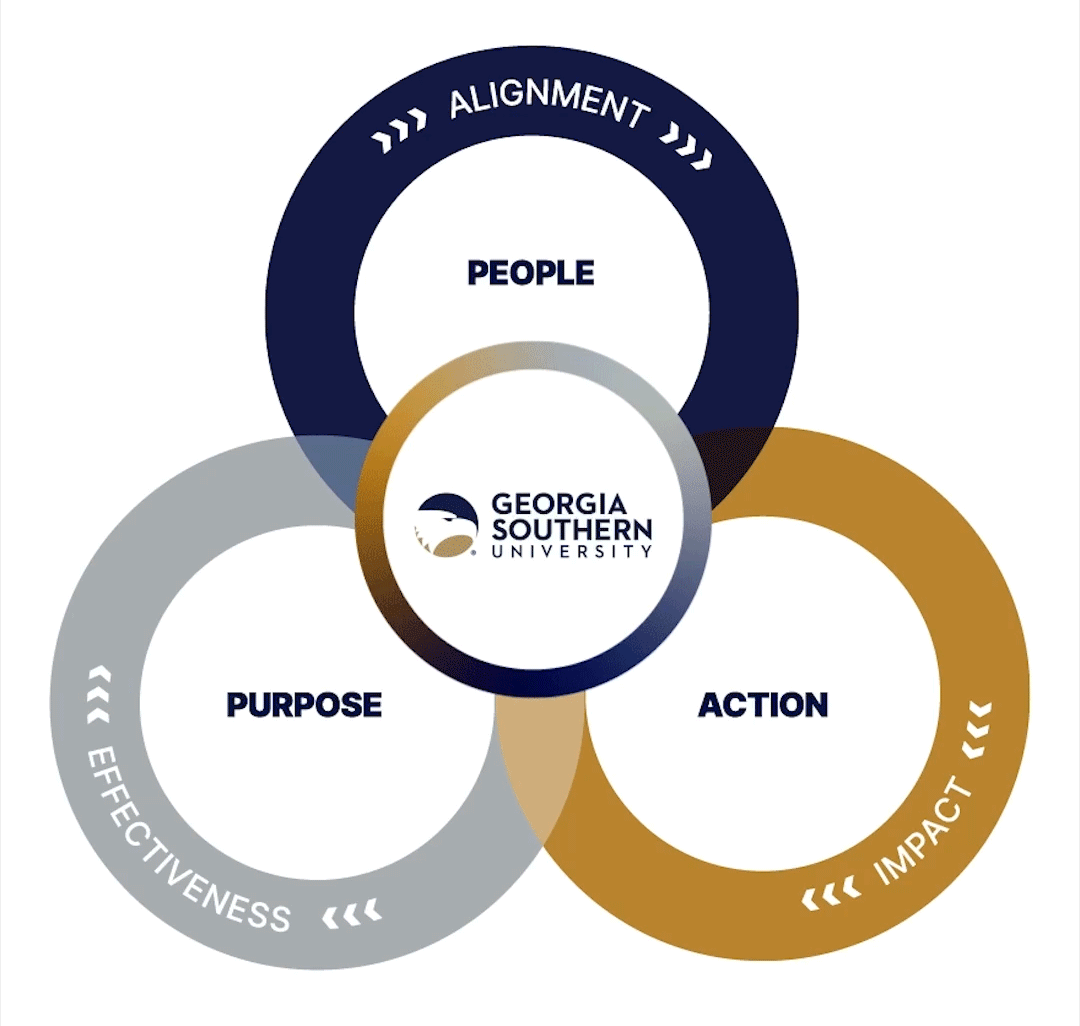 Georgia Southern strategy