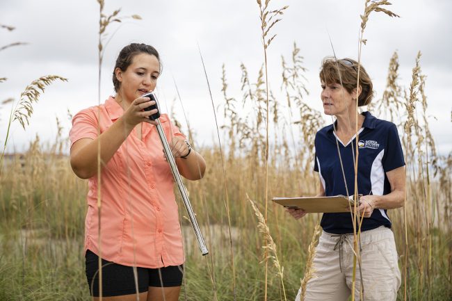 Matzke and Leege collect data for her sand dune restoration project.