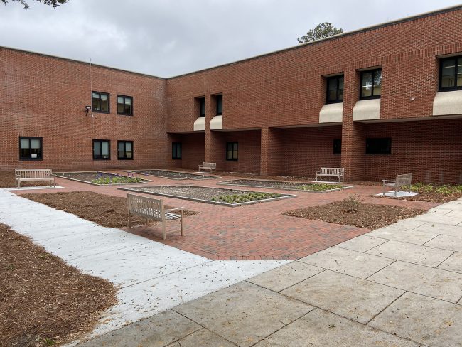 New garden on Georgia Southern’s Armstrong Campus a tribute to medicinal plants
