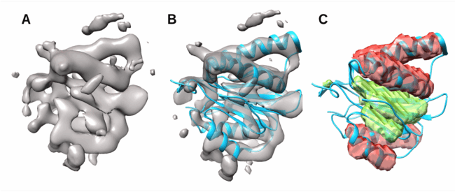 A series of three protein models showing an increasing level of complexity, from a medium-resolution cryo-EM image (A) to a ground truth atomic model with prediction (C).