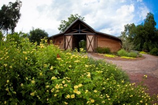 Georgia Southern University to Present Get Out in the Garden Festival