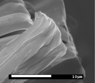 Figure 1. Scanning electron micrograph (SEM) of micro fibers formed from a 37 INS bico fiber.