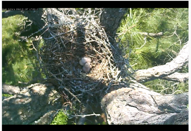 Screen Shot 2016-04-07 at 5.02.31 PM